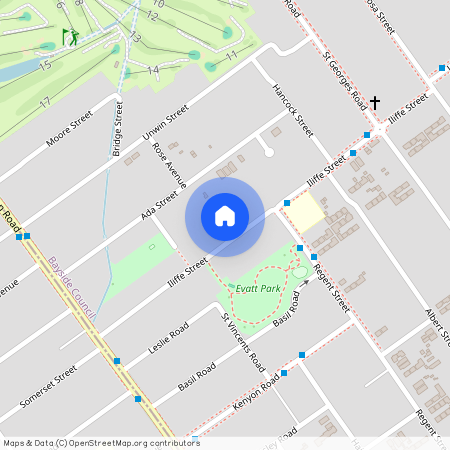 45 Iliffe Street, Bexley, NSW 2207