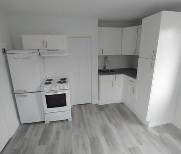 132 Rue De Notre-Dame-De-I'île (Hull) Studio Près D'Ottawa - Photo 2