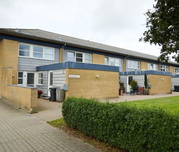Hjallerup - Photo 4